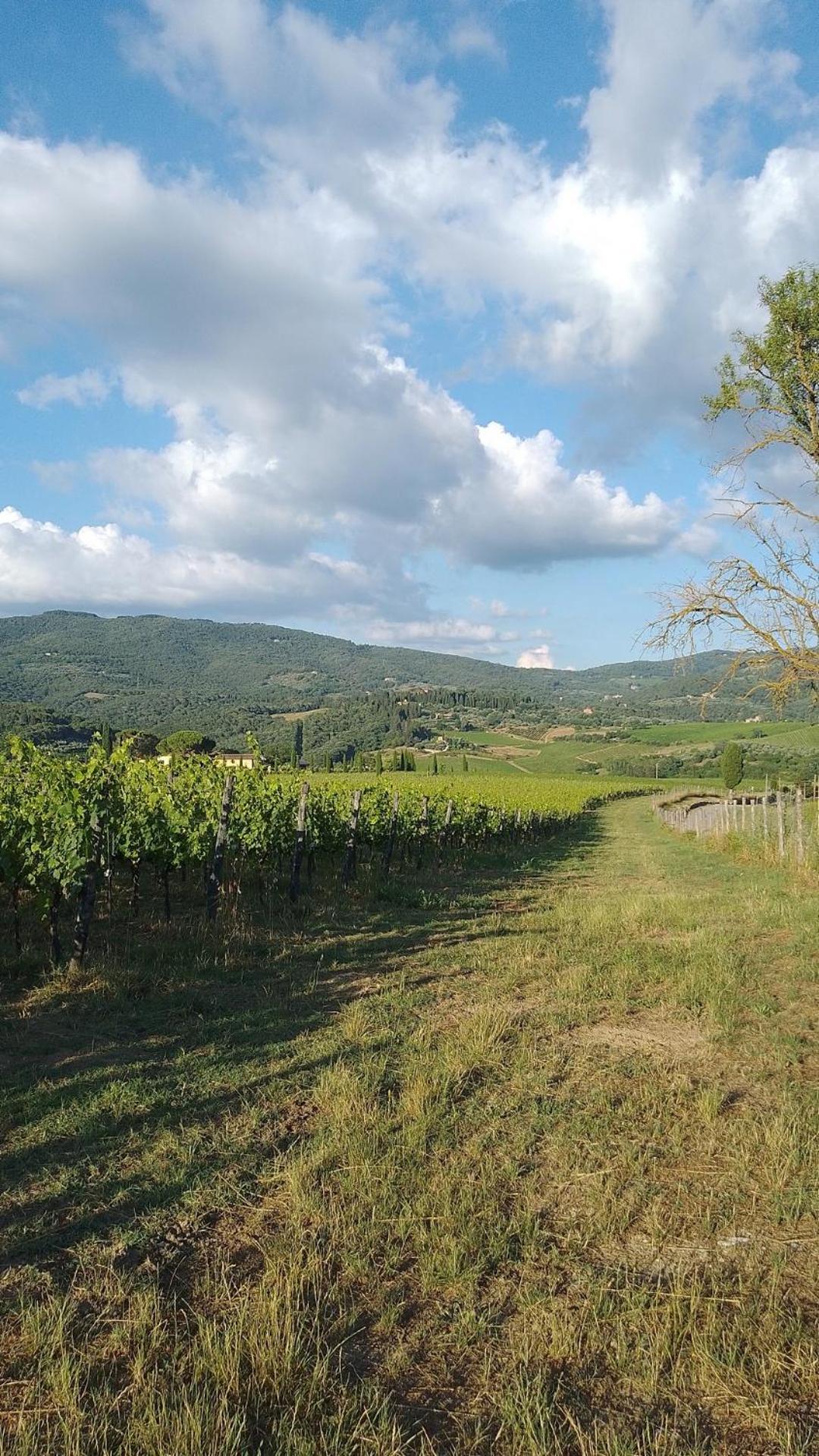 La Turra - Casa Di Campagna Greve in Chianti Exterior photo